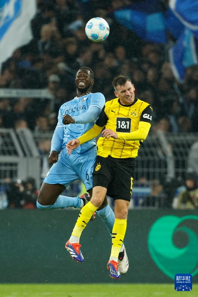 关于多特蒙德在近期德国足球联赛中获胜的信息